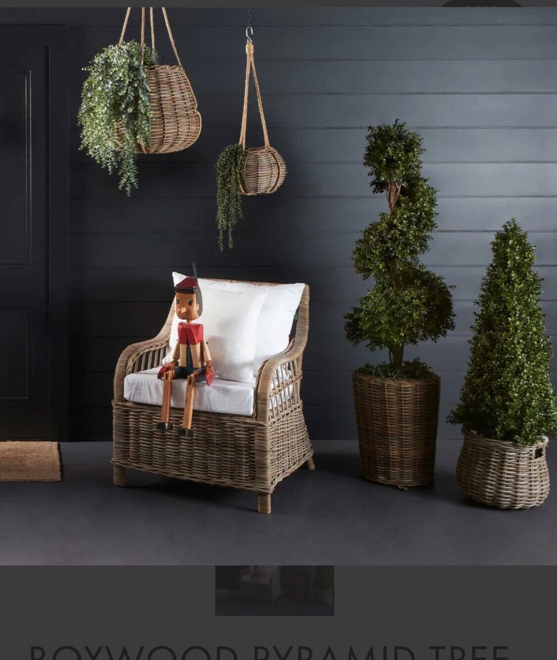 BOXWOOD PYRAMID TREE 1M By Florabelle