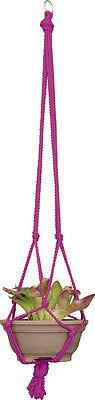 HIGH QUALITY MACRAME POT PLANT HOLDER / HANGER -FUCHSIA  COLOUR