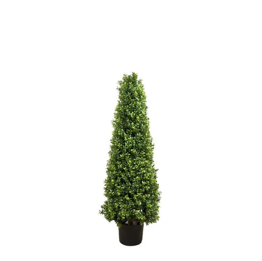 BOXWOOD PYRAMID TREE 1M By Florabelle